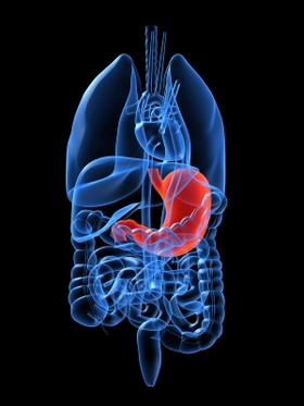 REFLUX GASTRO OESOPHAGIEN, GASTRITE (SANS ULCÈRE), NAUSÉES, BRÛLURES D’ESTOMAC…